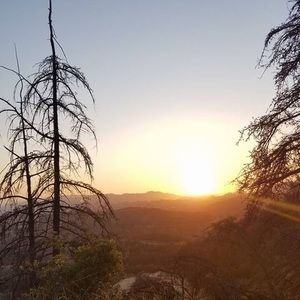 Meet your Posher, Noemi